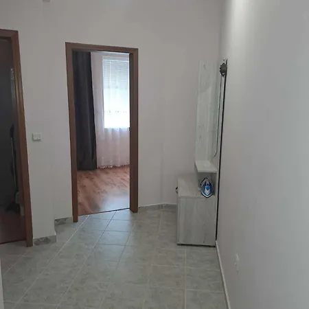 амира 2 *